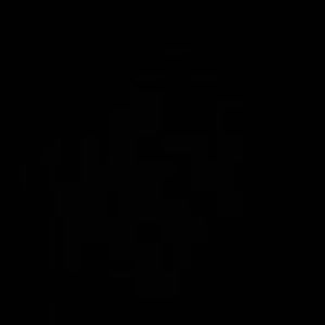 Meet your Posher, Cassidy aaliyah